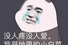 叶城融资清欠服务